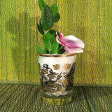 Scurvy Knave Cocktail Glass - Sold Out