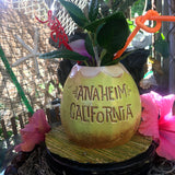 Sucking The Monkey Tiki Mug - Green Glaze - sold out